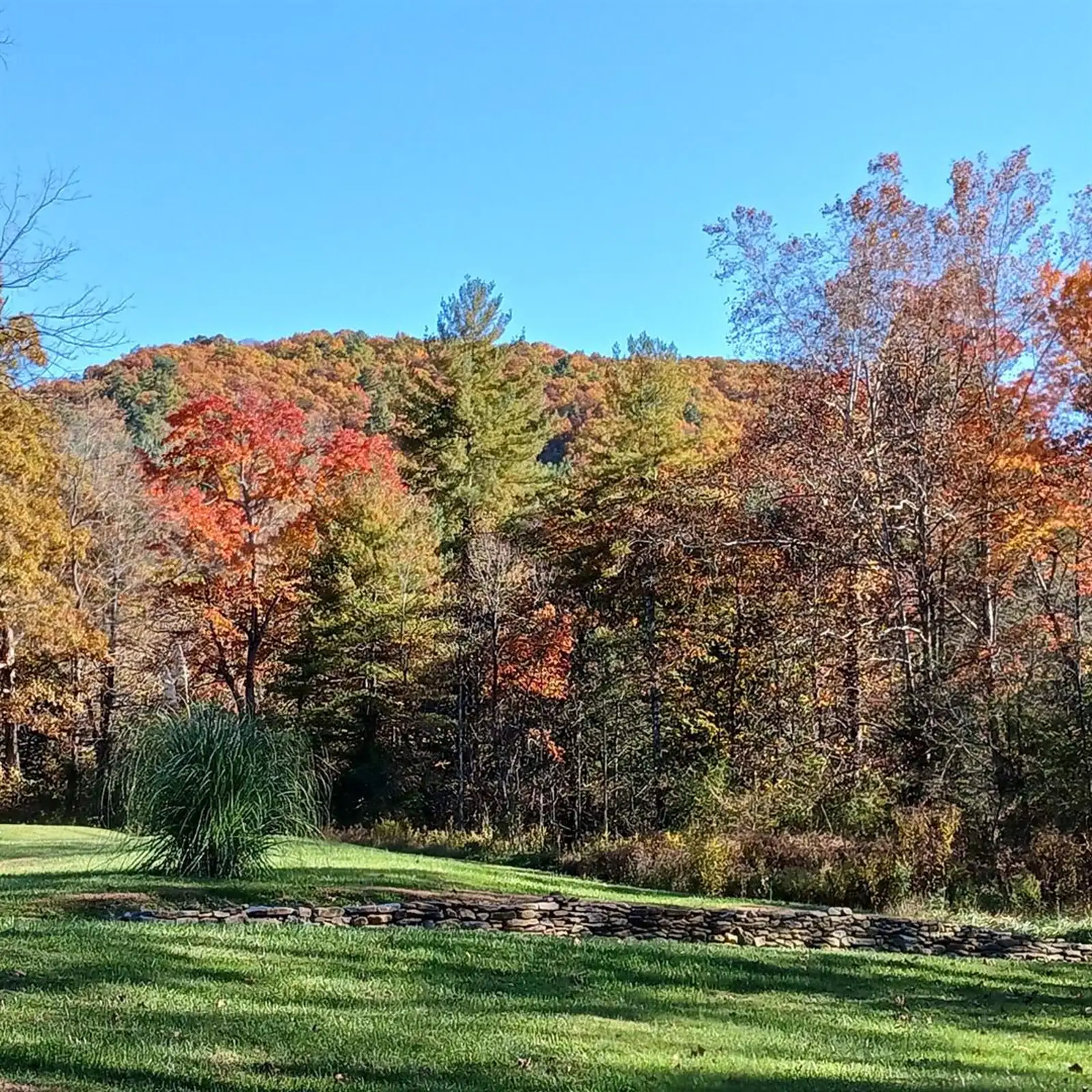 A stream runs through autumn woods at Stillwater Meadows in the Blue Ridge foothills