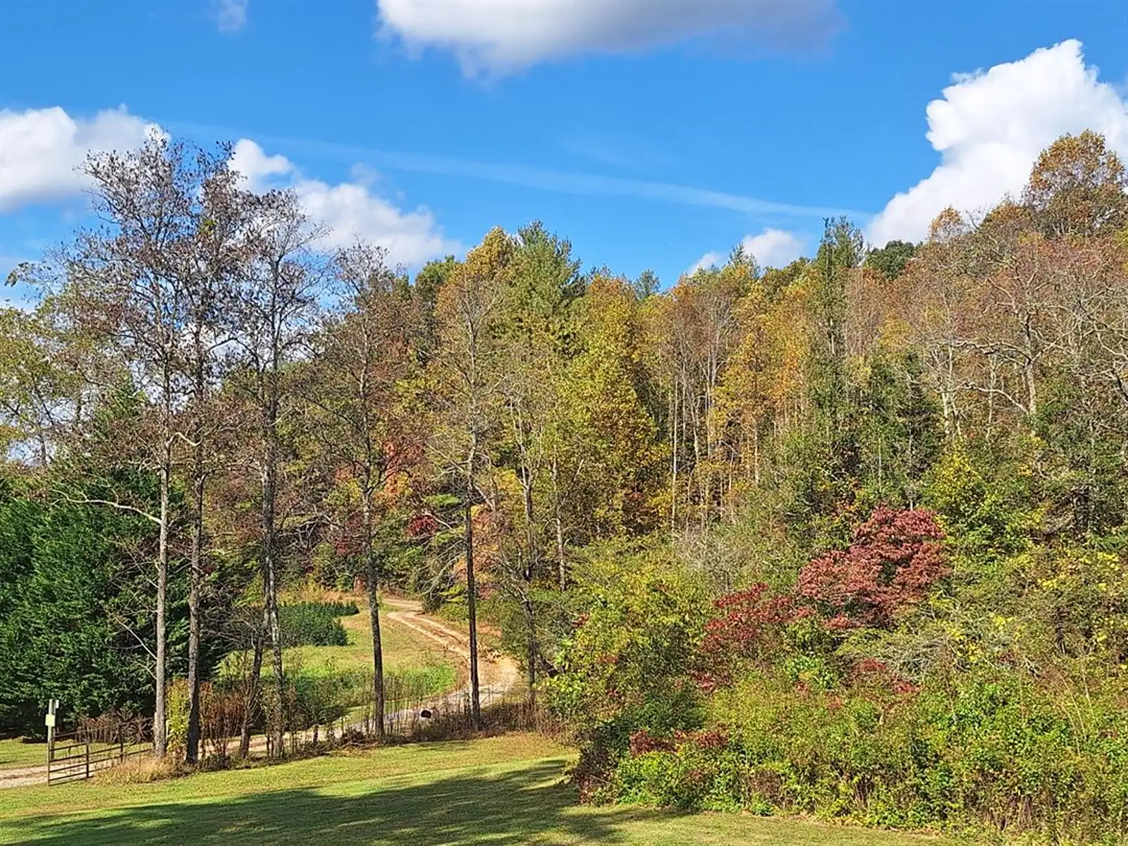 Open fields and Blue Ridge foothills of Stillwater Meadows